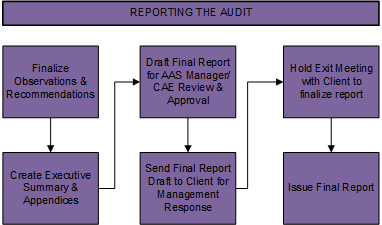 Reporting the audit graph