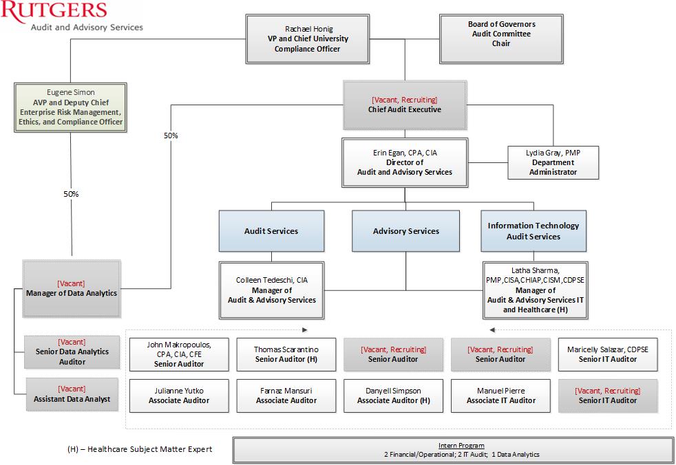 Organizational Chart | Audit and Advisory Services